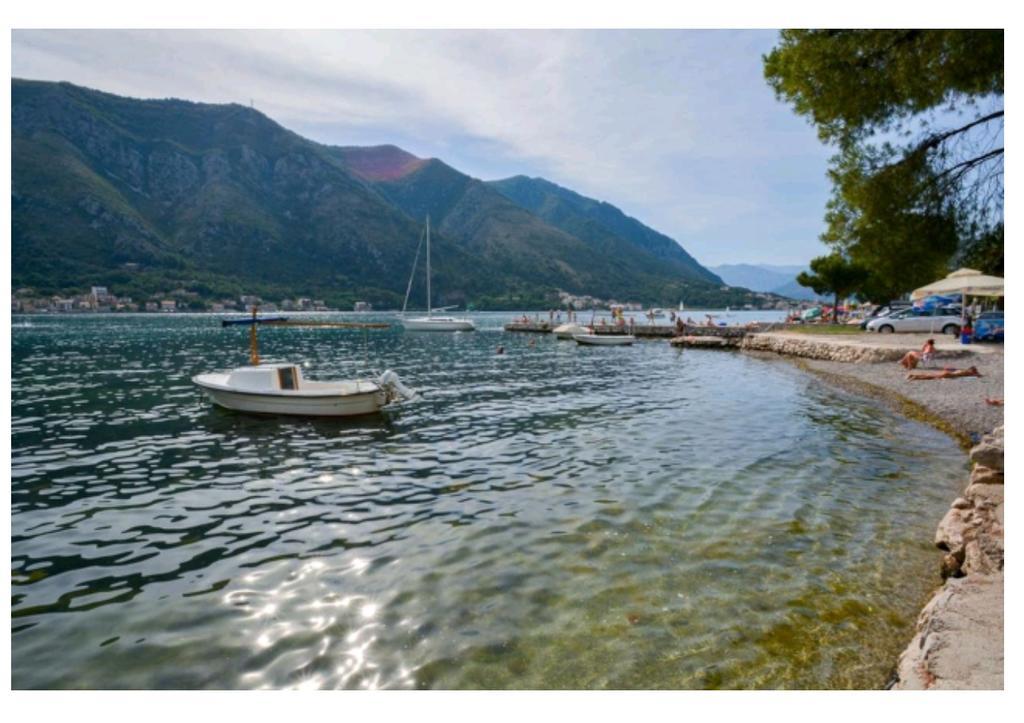 Garden apartmant near sea *NEW Kotor Exterior foto