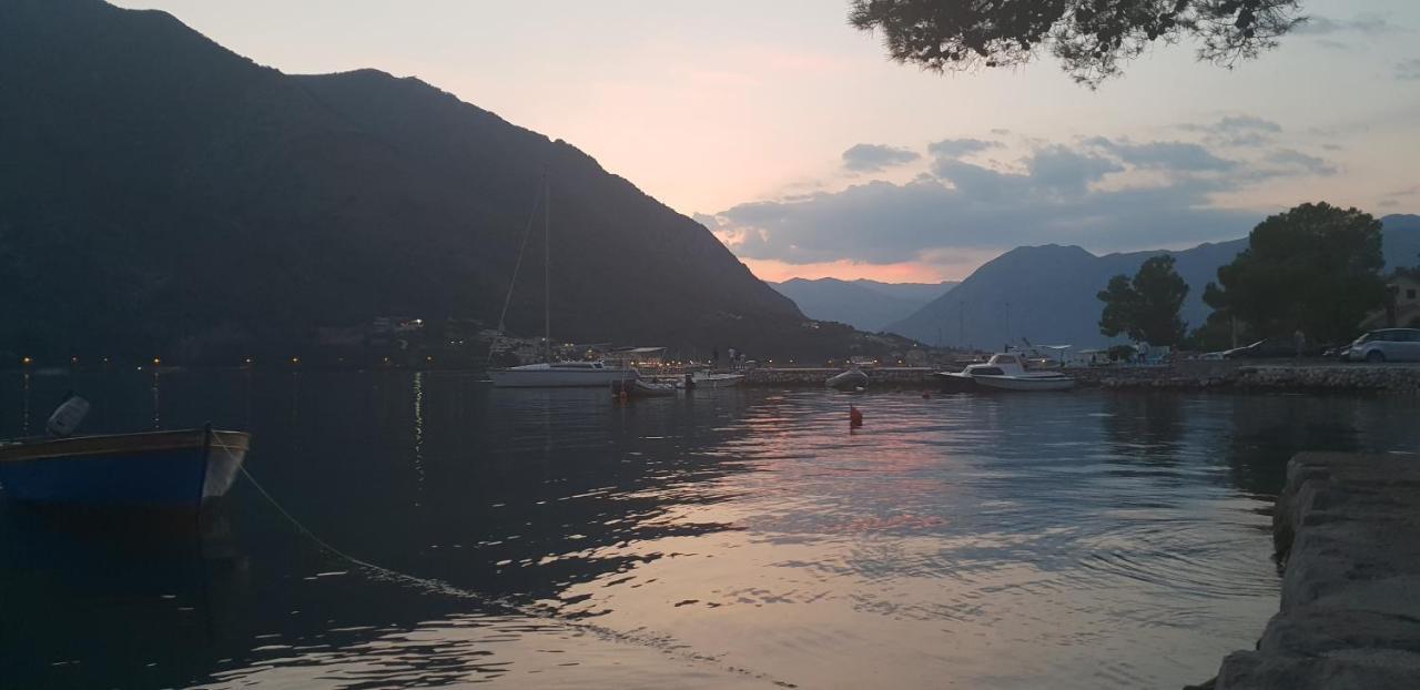 Garden apartmant near sea *NEW Kotor Exterior foto